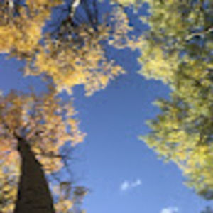 Meet your Posher, Kaitlyn